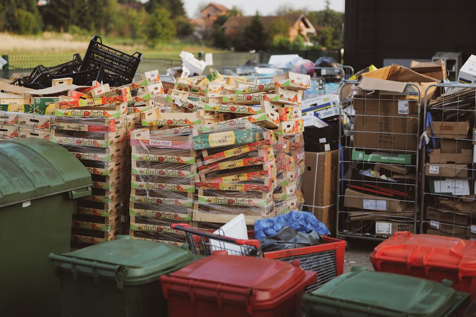 An outdoor scene depicting a large collection of stacked cardboard boxes containing fresh fruit produce, with labels indicating 'fresh fruits,' placed on wooden pallets. The boxes are primarily red, green, and yellow in color, with some showing signs of compression and slight tearing. To the right, there are metal wire cages filled with various cardboard boxes, packed with different packaging materials and supplies, some open and partially collapsed. In the foreground, multiple plastic waste bins in green and red are visible, with lids shut, and a few scattered plastic bags and miscellaneous items resting on and around them. The background includes a driveway or paved area with a rustic building or shed partially visible, and some greenery including trees and shrubs in the distance, under natural daylight. The overall scene suggests a site engaged in waste collection or on-site clearance, typical of private rubbish removal services such as those offered by House Clearance Merton, with attention to environmentally conscious disposal of waste materials.