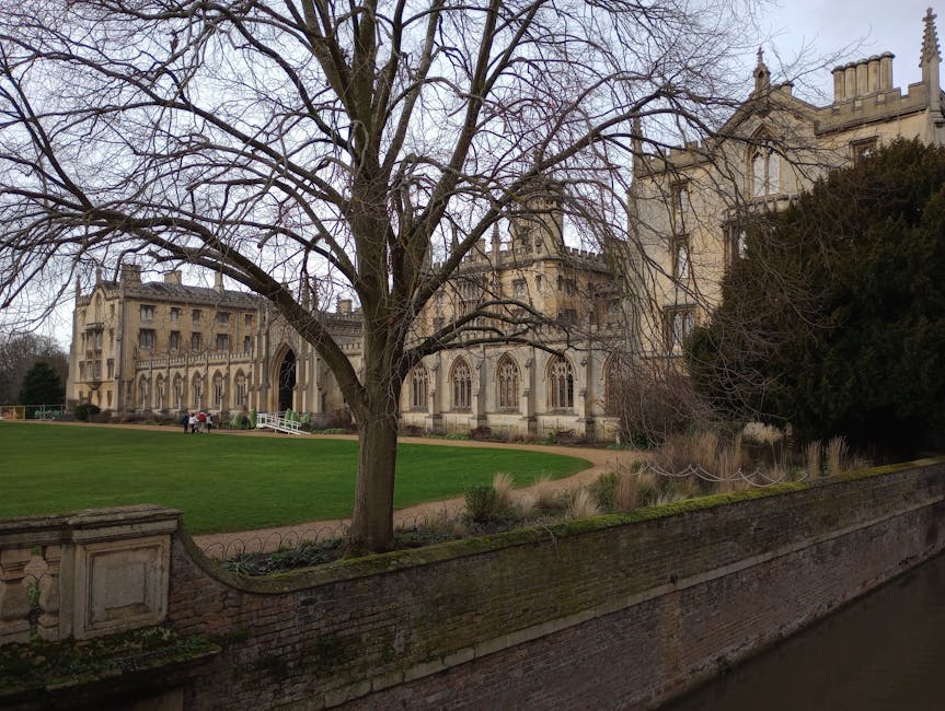 A historic stone building with Gothic architectural features, including tall pointed windows and decorative spires, is visible in the background of the image. In the foreground, there is a leafless tree with intricate, sprawling branches situated on a well-maintained grass lawn, bordered by a low brick wall that runs along a narrow waterway. The scene is set during overcast weather, with diffused natural light. The area appears to be part of an estate or a churchyard, with the building possibly serving as a historical landmark or place of worship. The presence of the brick wall and water feature suggests an established landscape design. This setting demonstrates the type of environment where private or on-site waste collection services, such as those offered by House Clearance Merton, might operate to manage rubbish removal in historic or residential areas, supporting alternative disposal options outside of municipal collection services.